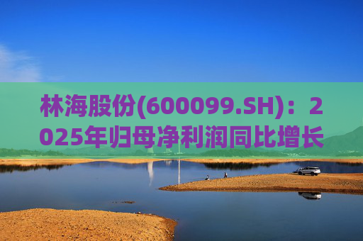 林海股份(600099.SH)：2025年归母净利润同比增长33.24%，每股拟派利0.045元