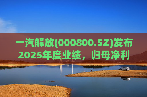 一汽解放(000800.SZ)发布2025年度业绩，归母净利润7.25亿元，增长16.41%  第1张