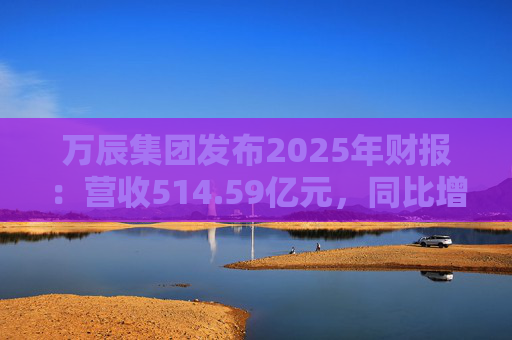 万辰集团发布2025年财报：营收514.59亿元，同比增长59.17%
