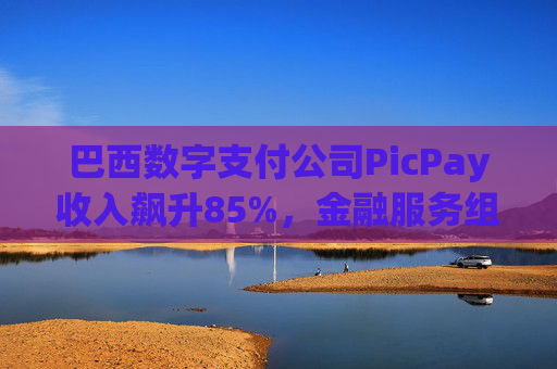 巴西数字支付公司PicPay收入飙升85%，金融服务组合持续扩大