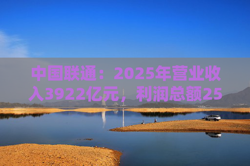 中国联通：2025年营业收入3922亿元，利润总额253亿元