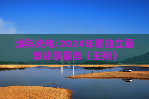 埃科光电:2024年度独立董事述职报告（王翔）