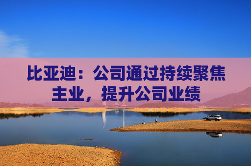 比亚迪：公司通过持续聚焦主业，提升公司业绩