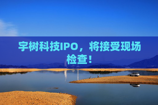 宇树科技IPO，将接受现场检查！