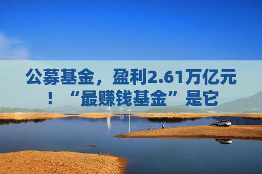 公募基金，盈利2.61万亿元！“最赚钱基金”是它