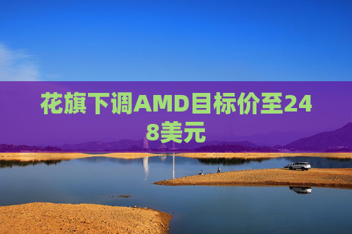 花旗下调AMD目标价至248美元