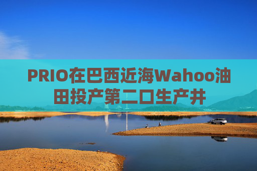 PRIO在巴西近海Wahoo油田投产第二口生产井