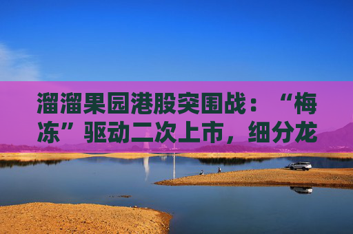 溜溜果园港股突围战：“梅冻”驱动二次上市，细分龙头能否破解盈利隐忧？