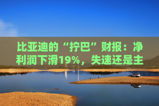 比亚迪的“拧巴”财报：净利润下滑19%，失速还是主动换挡？