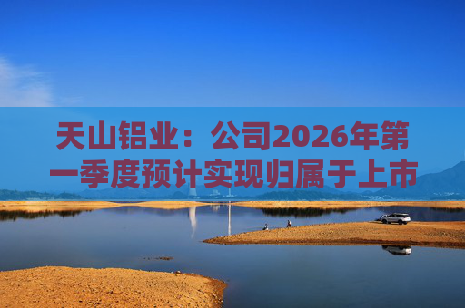 天山铝业：公司2026年第一季度预计实现归属于上市公司股东的净利润220000万元