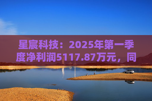 星宸科技：2025年第一季度净利润5117.87万元，同比增长0.48%  第1张