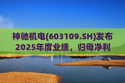 神驰机电(603109.SH)发布2025年度业绩，归母净利润1.34亿元，同比下降30.94%