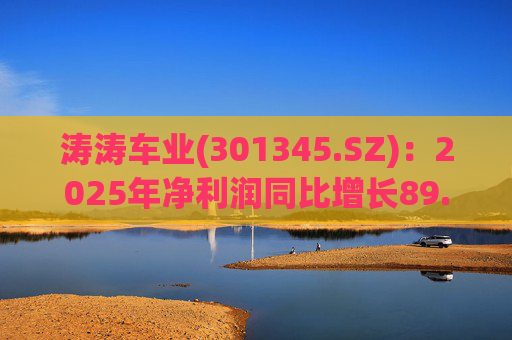 涛涛车业(301345.SZ)：2025年净利润同比增长89.29% 拟10派15元