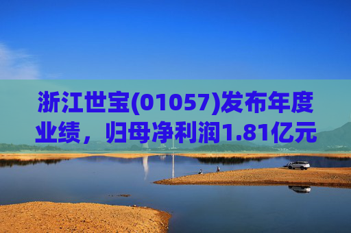 浙江世宝(01057)发布年度业绩，归母净利润1.81亿元 同比增加21.05%