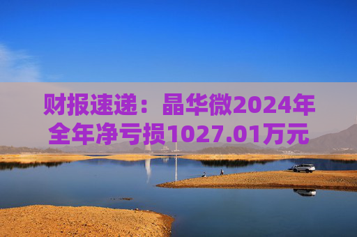 财报速递：晶华微2024年全年净亏损1027.01万元