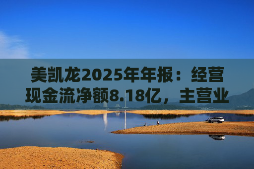 美凯龙2025年年报：经营现金流净额8.18亿，主营业务筑底企稳  第1张