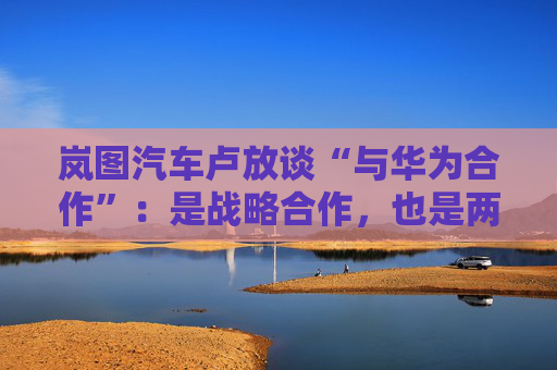 岚图汽车卢放谈“与华为合作”：是战略合作，也是两个独立主体，这对双方快速成长非常重要