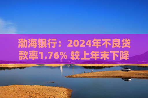 渤海银行:2024年不良贷款率1.76% 较上年末下降0.02个百分点 第1张 渤海银行:2024年不良贷款率1.76% 较上年末下降0.02个百分点 第1张