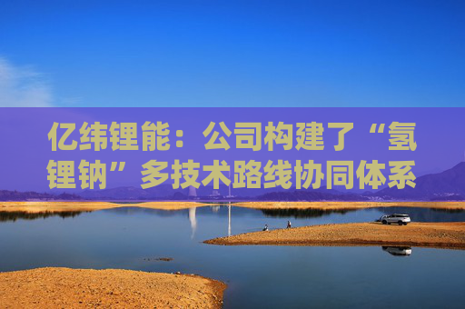 亿纬锂能：公司构建了“氢锂钠”多技术路线协同体系