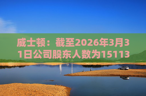 威士顿：截至2026年3月31日公司股东人数为15113户  第1张
