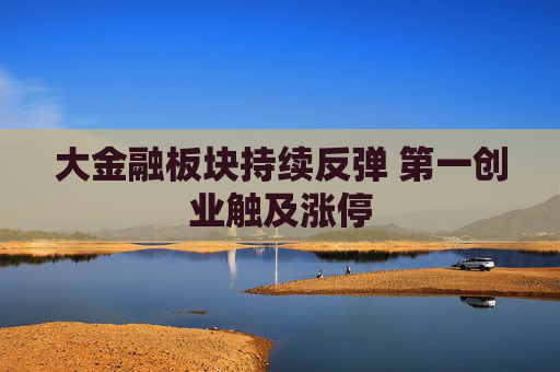 大金融板块持续反弹 第一创业触及涨停