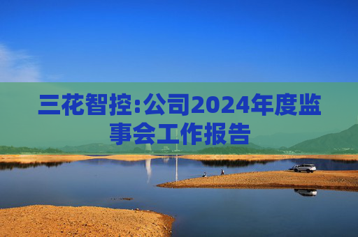 三花智控:公司2024年度监事会工作报告