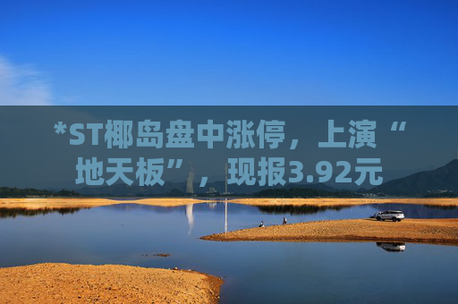 *ST椰岛盘中涨停，上演“地天板”，现报3.92元