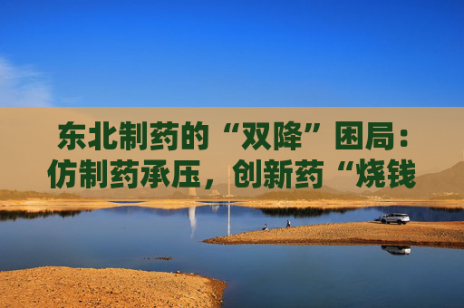 东北制药的“双降”困局：仿制药承压，创新药“烧钱”  第1张