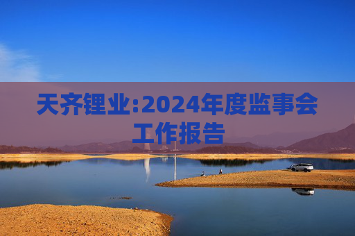 天齐锂业:2024年度监事会工作报告