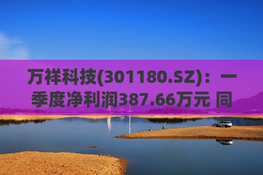 万祥科技(301180.SZ)：一季度净利润387.66万元 同比增加2125.47%