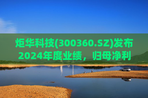 炬华科技(300360.SZ)发布2024年度业绩，归母净利润6.65亿元，同比增长9.45%  第1张