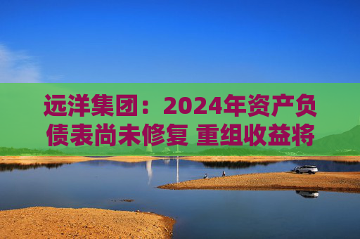 远洋集团：2024年资产负债表尚未修复 重组收益将于2025年释放  第1张