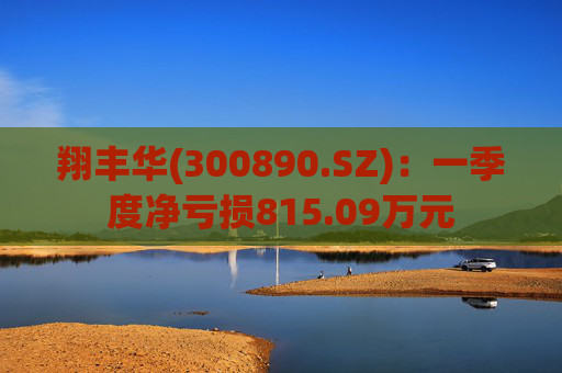 翔丰华(300890.SZ)：一季度净亏损815.09万元  第1张