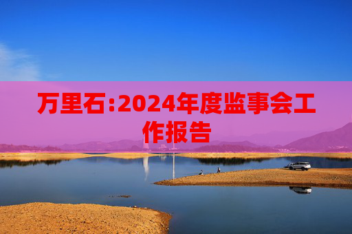 万里石:2024年度监事会工作报告  第1张