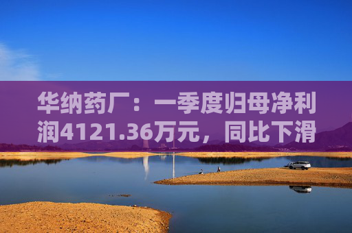 华纳药厂：一季度归母净利润4121.36万元，同比下滑31.37%
