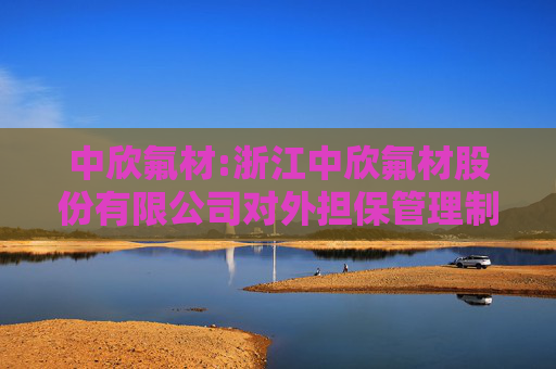 中欣氟材:浙江中欣氟材股份有限公司对外担保管理制度