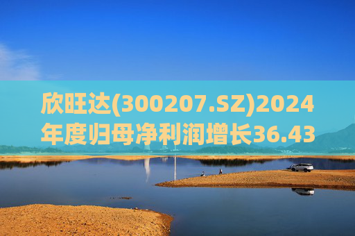欣旺达(300207.SZ)2024年度归母净利润增长36.43%至14.68亿元，动力电池出货量合计25.29GWh