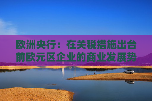 欧洲央行:在关税措施出台前欧元区企业的商业发展势头有所改善