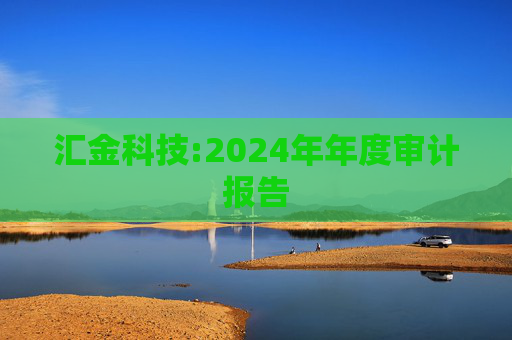 汇金科技:2024年年度审计报告