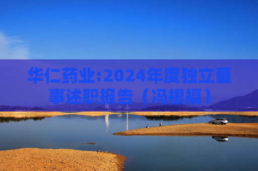 华仁药业:2024年度独立董事述职报告（冯根福）  第1张