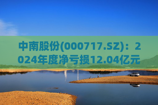 中南股份(000717.SZ)：2024年度净亏损12.04亿元