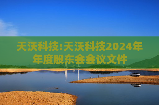 天沃科技:天沃科技2024年年度股东会会议文件