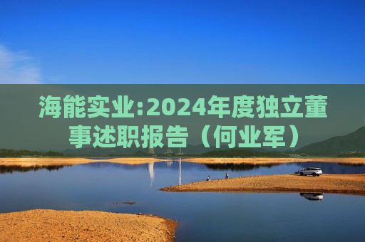 海能实业:2024年度独立董事述职报告(何业军)