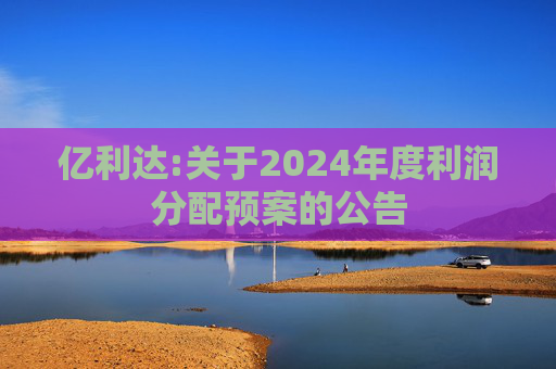 亿利达:关于2024年度利润分配预案的公告