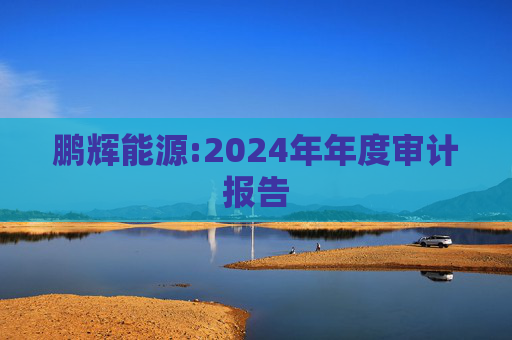 鹏辉能源:2024年年度审计报告  第1张