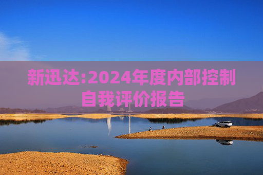 新迅达:2024年度内部控制自我评价报告