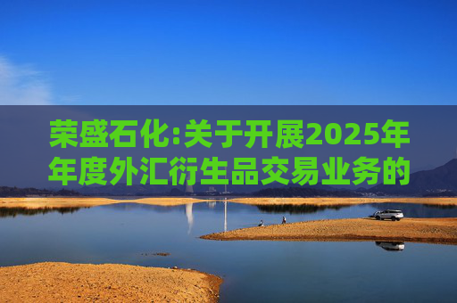 荣盛石化:关于开展2025年年度外汇衍生品交易业务的公告