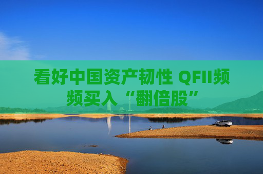 看好中国资产韧性 QFII频频买入“翻倍股”