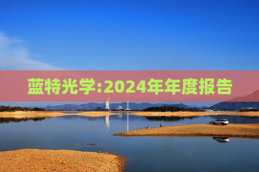 蓝特光学:2024年年度报告