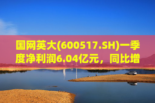 国网英大(600517.SH)一季度净利润6.04亿元，同比增长45.22%